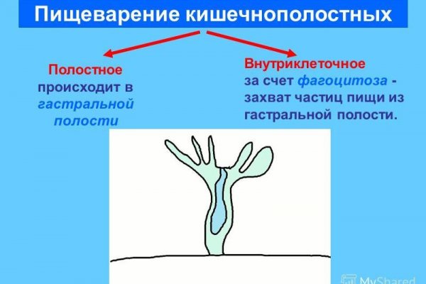 Кракен это гидра
