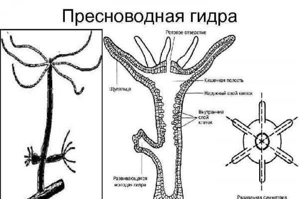 Кракен 2krnk