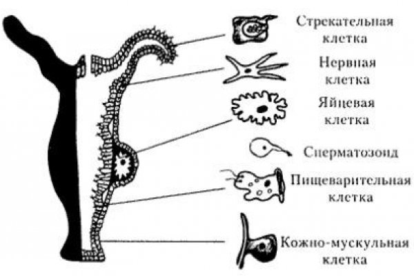 Пользователь не найден кракен даркнет